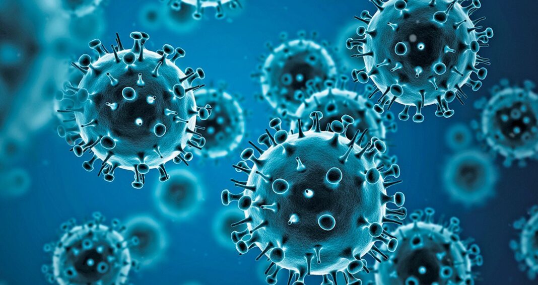 H1N1