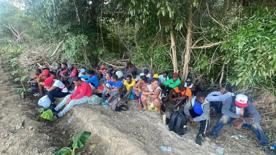 registran-detencion-masiva-de-migrantes-haitianos-en-enero-1fe07632-focus-0-0-1200-675