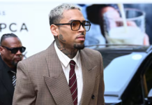 Chris Brown pierde juicio por ataque de perro en su residencia de Los Ángeles