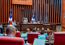 Senado da luz verde en primera lectura al proyecto de ley de reforma policial, con modificaciones.