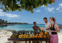 Más de 6.6 millones de visitantes llegaron a República Dominicana en el primer semestre del año.