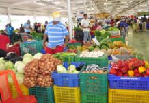 Costo del transporte de alimentos aumenta hasta 30% por alza del gasoil, según detallistas