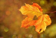 Llega el otoño a RD pero las altas temperaturas continuarán hasta octubre