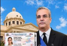 Licencias de conducir tendrán vigencia uniforme con eliminación del límite por edad