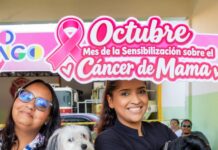 Distrito Nacional refuerza atención veterinaria con esterilizaciones, vacunas y desparasitación
