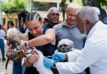 Salud Pública lanza jornada masiva para vacunar perros y gatos contra la rabia