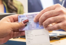 INTRANT devolverá el pago por la vigencia de las licencias de conducir a mayores de 65 años