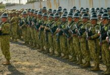 Desaparecen soldados salvadoreños en Haití tras una emboscada de grupos criminales