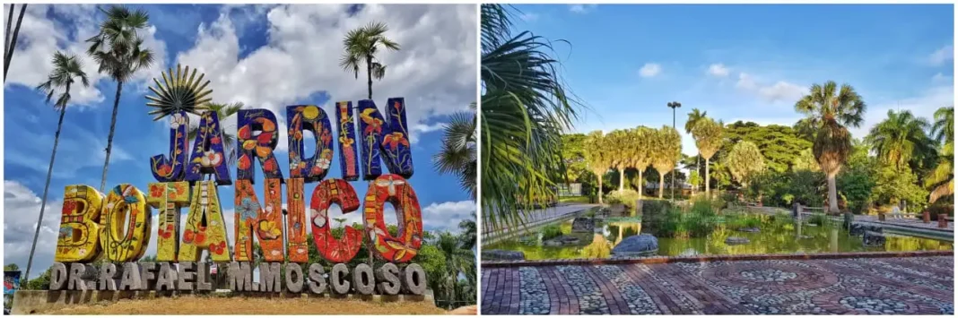 quemahsago-jardin_botanico_santo_domingo_marichams-01